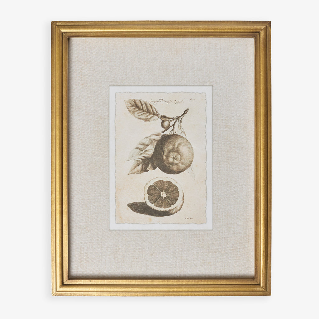 Lemons In Gold Frame (Print D) Front View