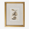 Lemons In Gold Frame (Print D) Front View