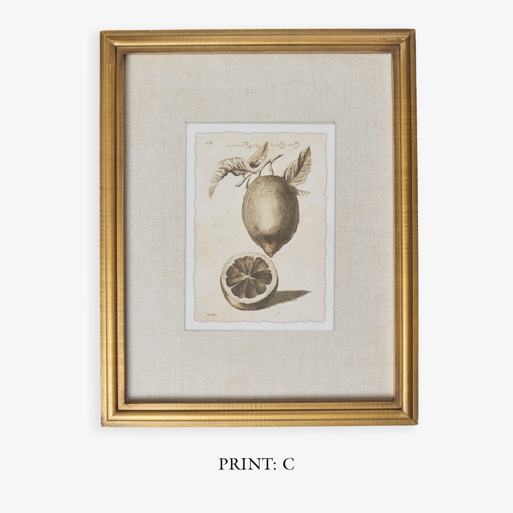 Lemons In Gold Frame (Print C) Title