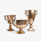 Medallion Gold Metal Planters With Handles Group