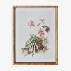 Moth Orchid In Bamboo Frame (Print A) Front View