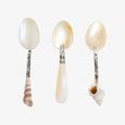 Mother Of Pearl Shell Spoons Group Shot