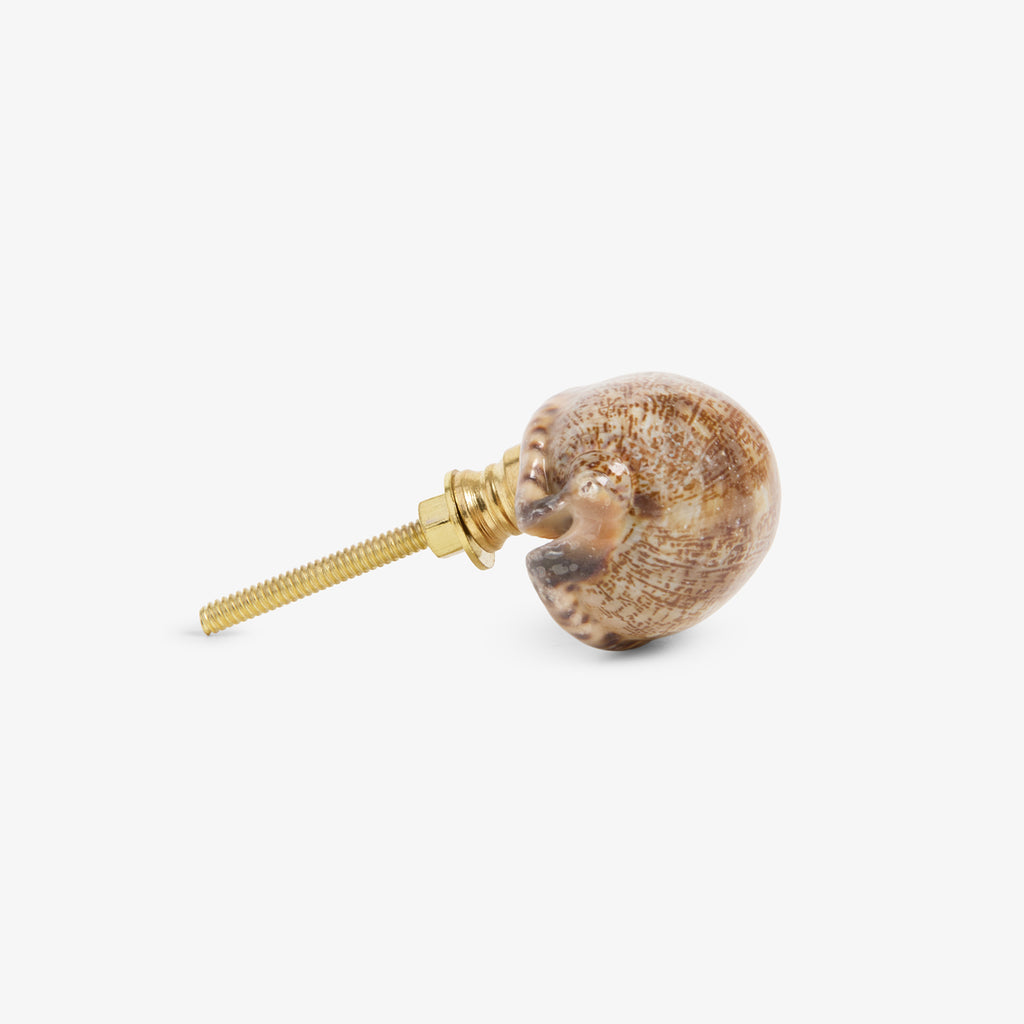 Shell Drawer Knob (Brown) Side View