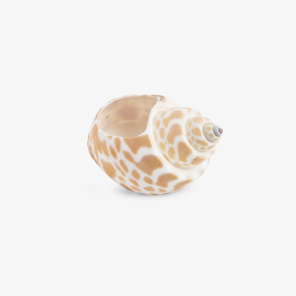 Shell Napkin Rings Set Of Four (Natural) Side View