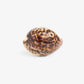 Shell Drawer Knob (Tortoiseshell) Front View