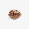 Shell Drawer Knob (Tortoiseshell) Front View