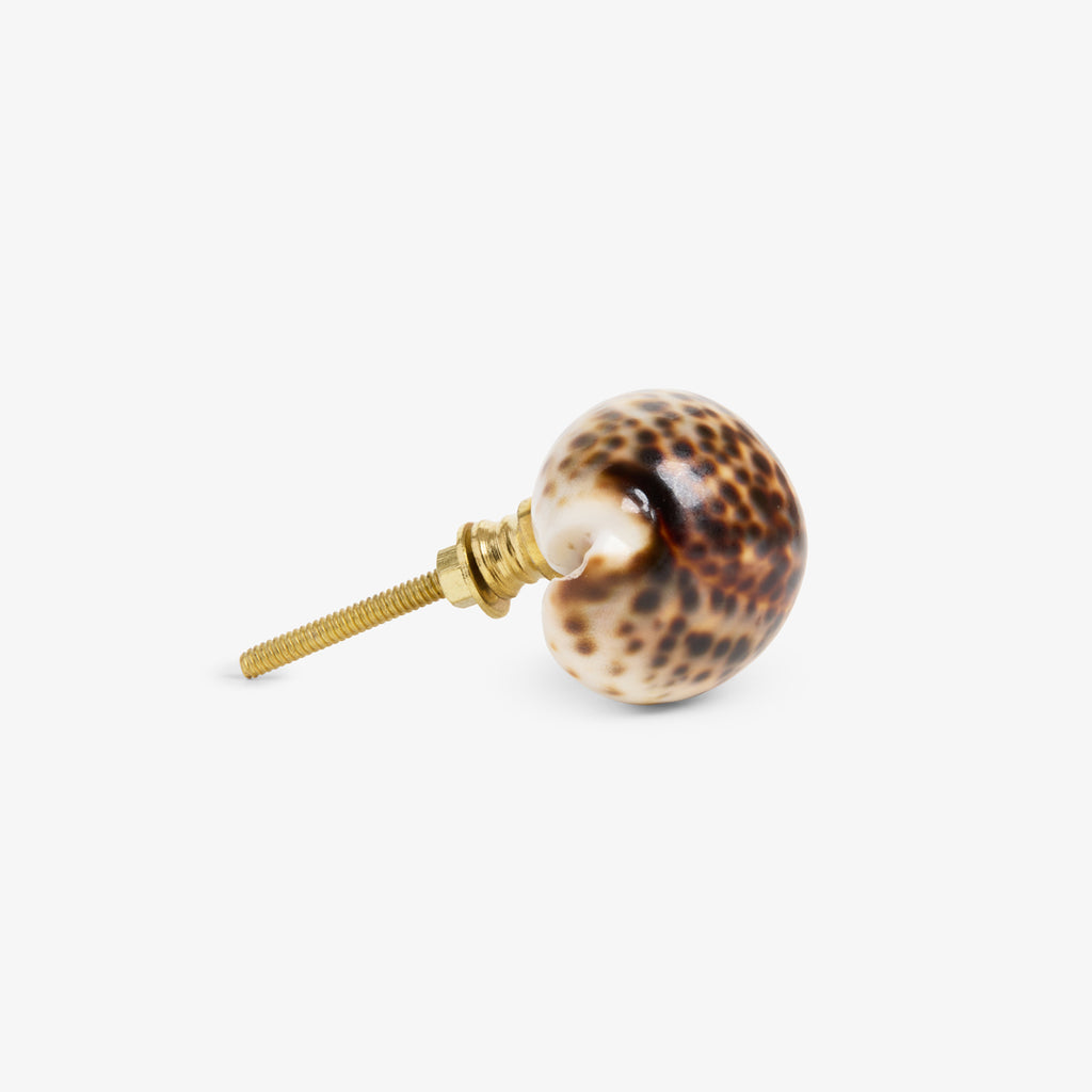 Shell Drawer Knob (Tortoiseshell) Side View