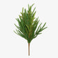 Norfolk Pine Pick 45cm Front View