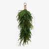 Norfolk Pine Teardrop 75cm
