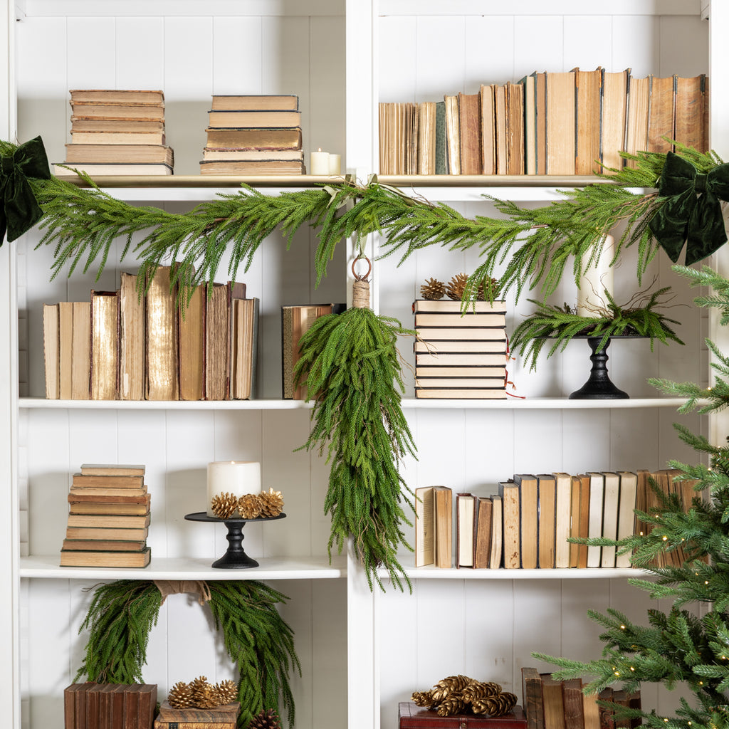 Norfolk Pine Teardrop 75cm Styled on Bookcase