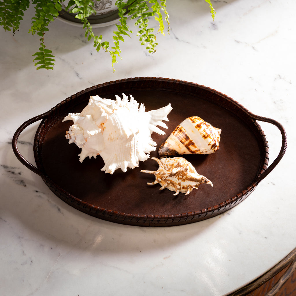 Oval Leather Tray tyled on Coffee Table with Shells