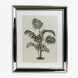 Palm Print Artwork With Mirror Frame C Front