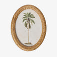 Palm Tree In Oval Rattan Frame (Print A) Front View