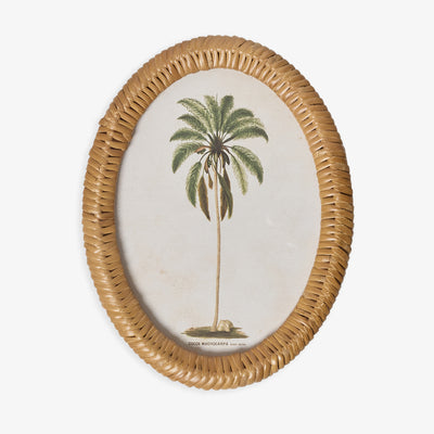 Palm Tree In Oval Rattan Frame (Print A) Front View