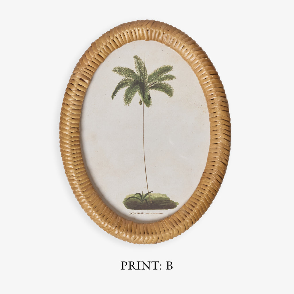 Palm Tree In Oval Rattan Frame (Print B) Title