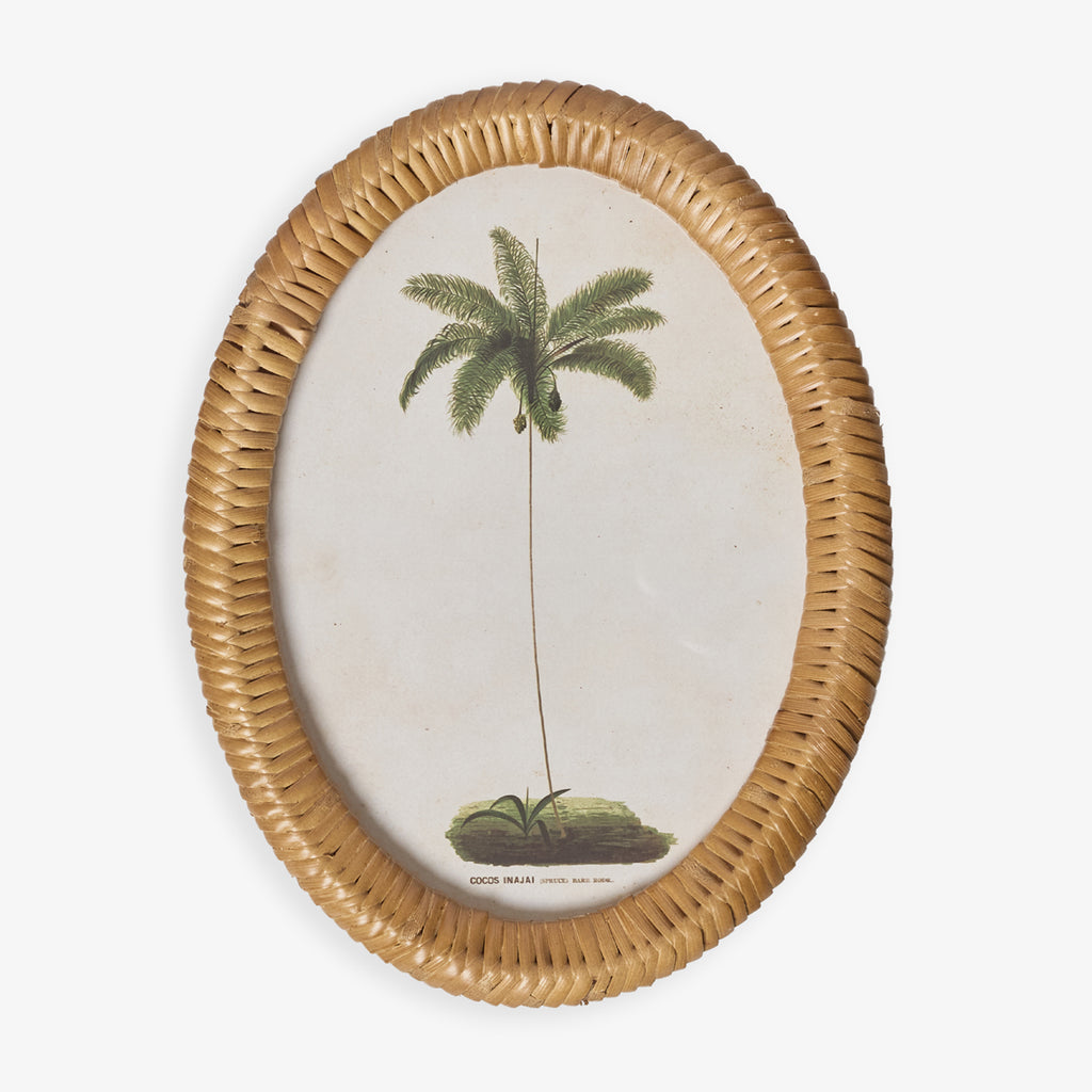 Palm Tree In Oval Rattan Frame (Print B) Front View