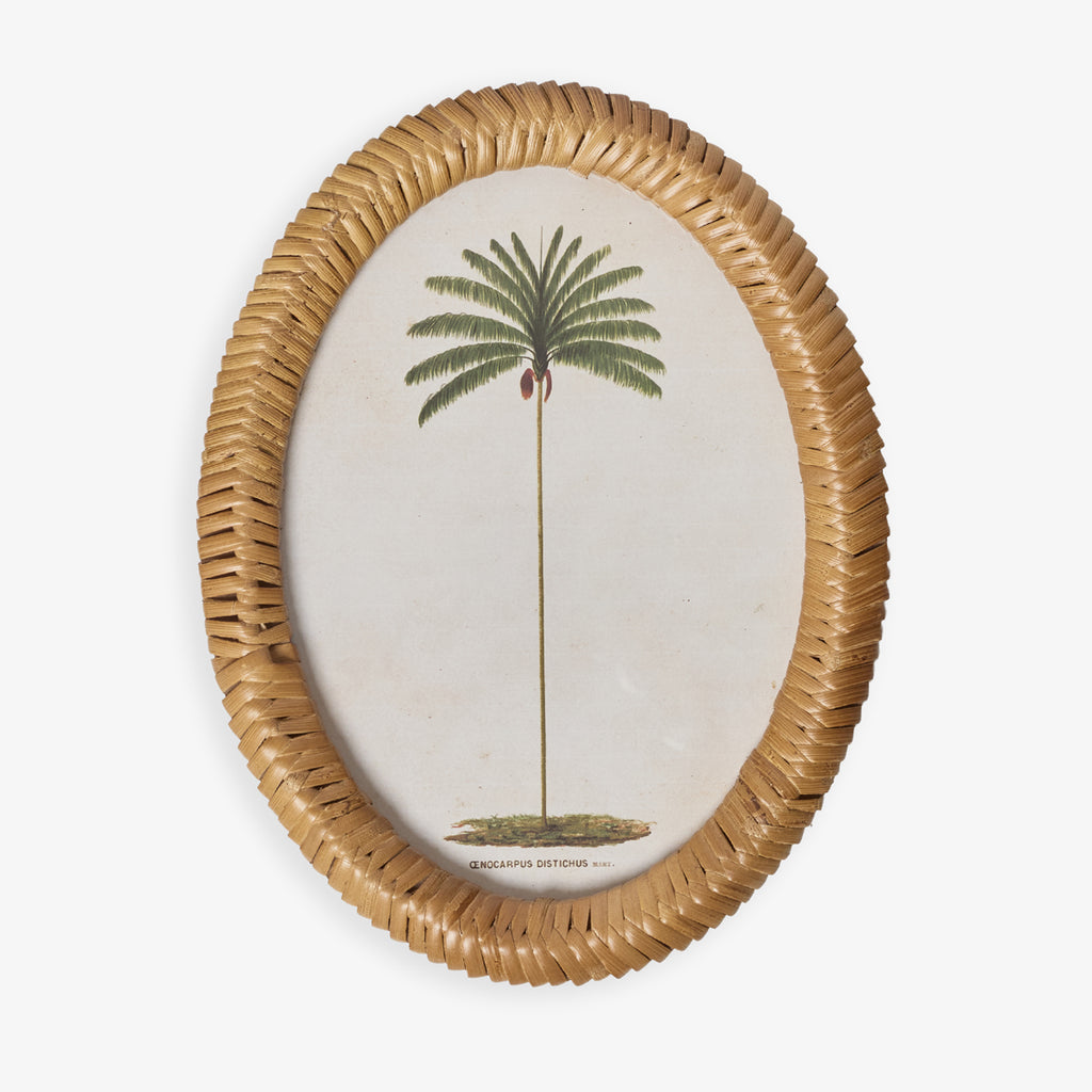Palm Tree In Oval Rattan Frame (Print C) Front View