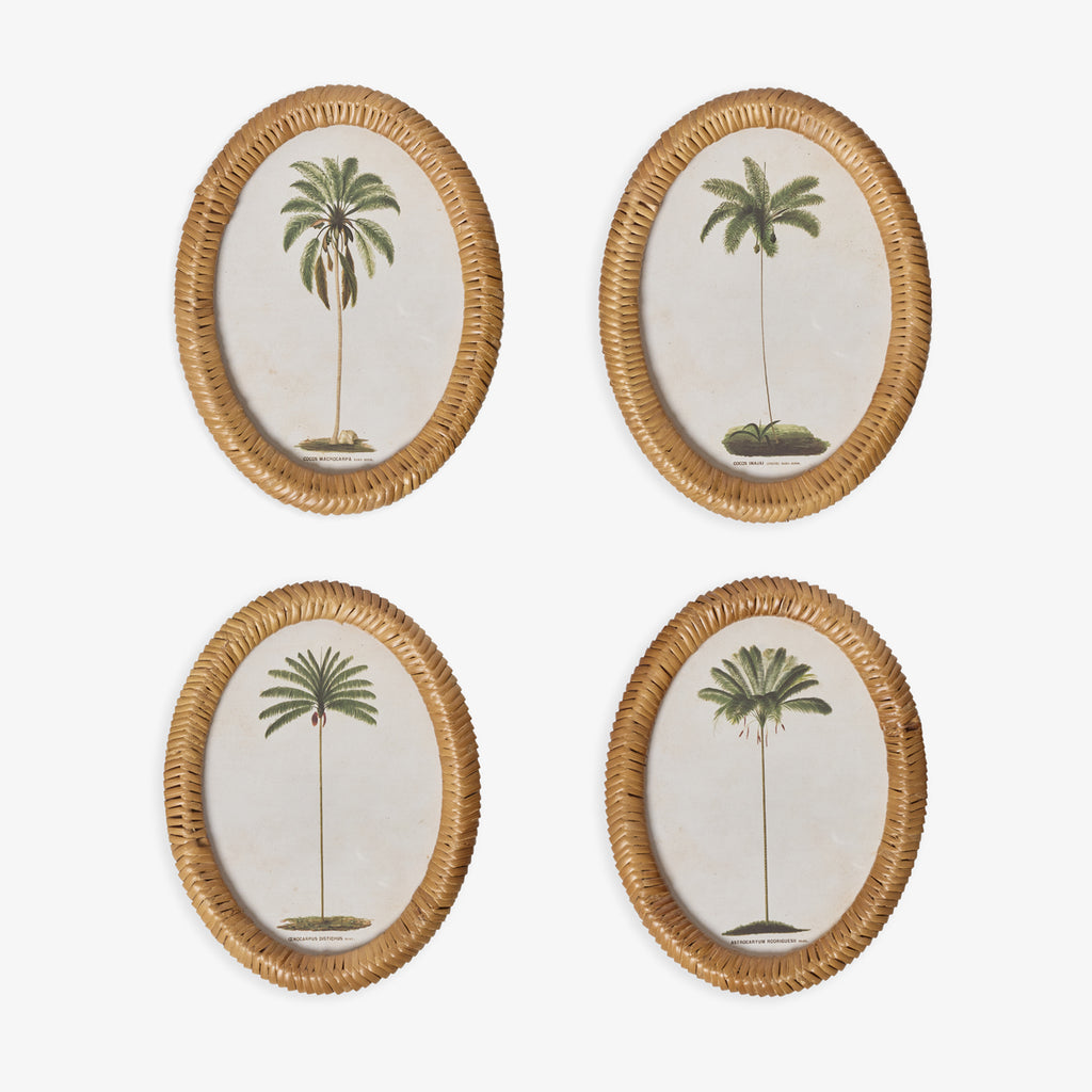 Palm Tree In Oval Rattan Frame (Print D) Group Shot