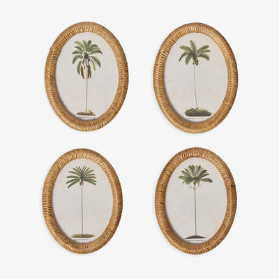Palm Tree In Oval Rattan Frame (Print D) Group Shot
