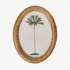 Palm Tree In Oval Rattan Frame (Print D) Front View