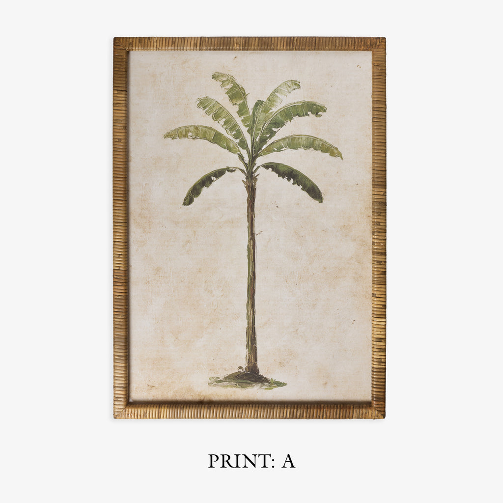 Palm Tree In Rattan Frame (Print A) TItle