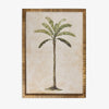Palm Tree In Rattan Frame (Print A) Front View
