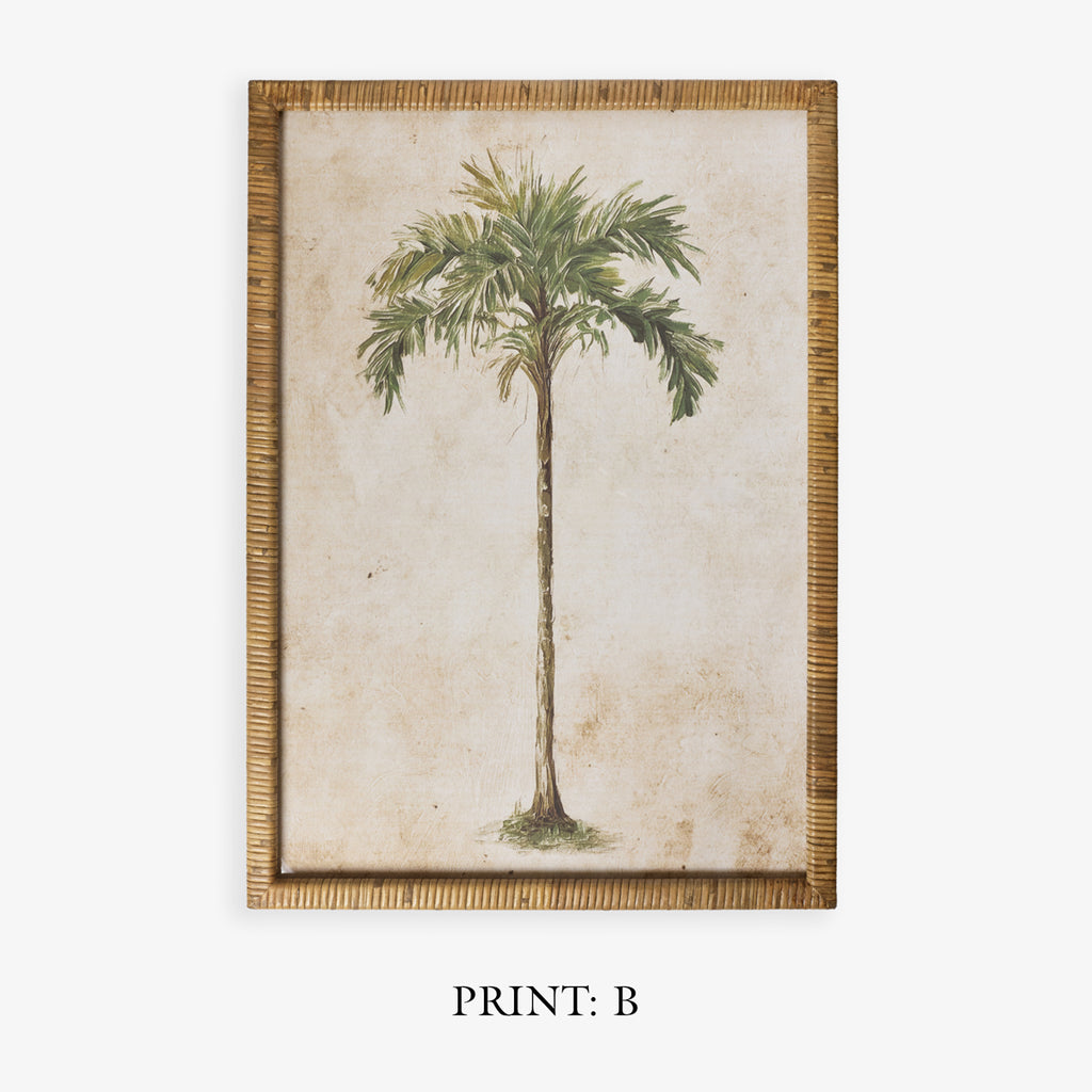 Palm Tree In Rattan Frame (Print B) Title