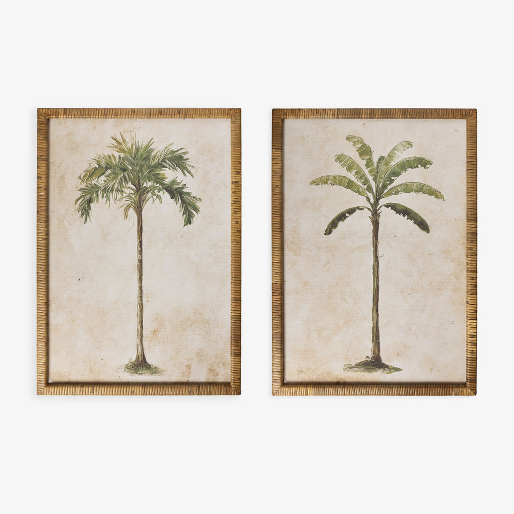 Palm Tree In Rattan Frame (Print B) Group Shot