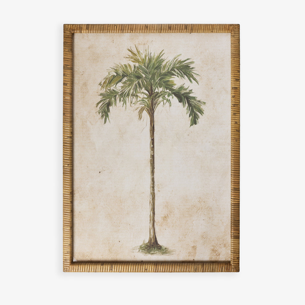 Palm Tree In Rattan Frame (Print B) Front View