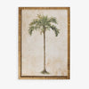 Palm Tree In Rattan Frame (Print B) Front View