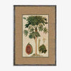 Papaya Tree Print Artwork With Bamboo Frame and rattan matt.