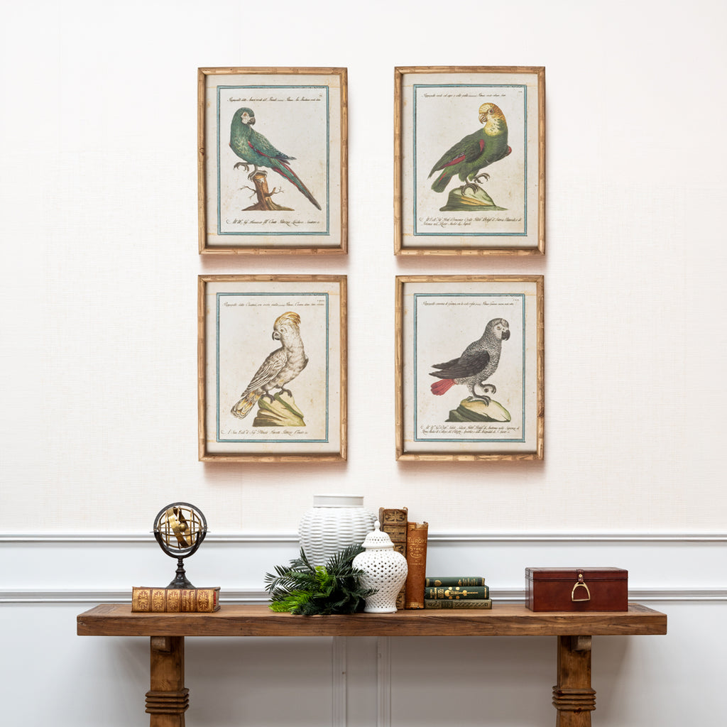 Parrot In Bamboo Frame (Print D) Styled Above Console with Decor