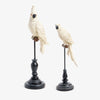 Parrot On Stand Sculptures (White) Group Shot