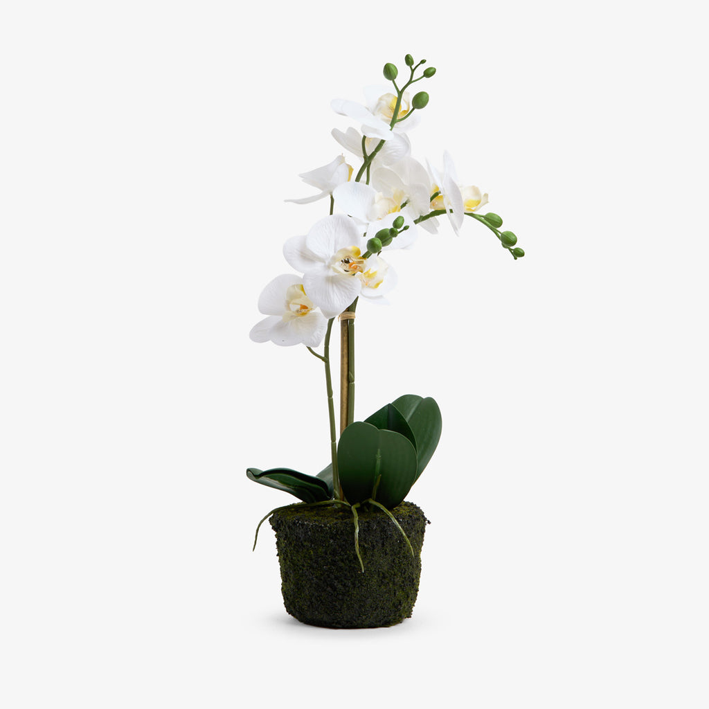 Artificial Orchid Three Spray 47cm Front View