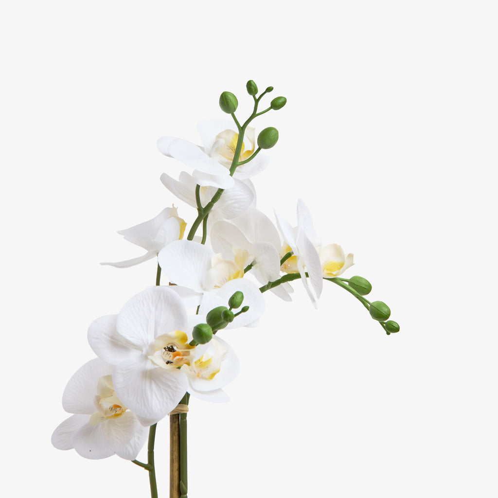 Artificial Orchid Three Spray 47cm Close Up of Flowers