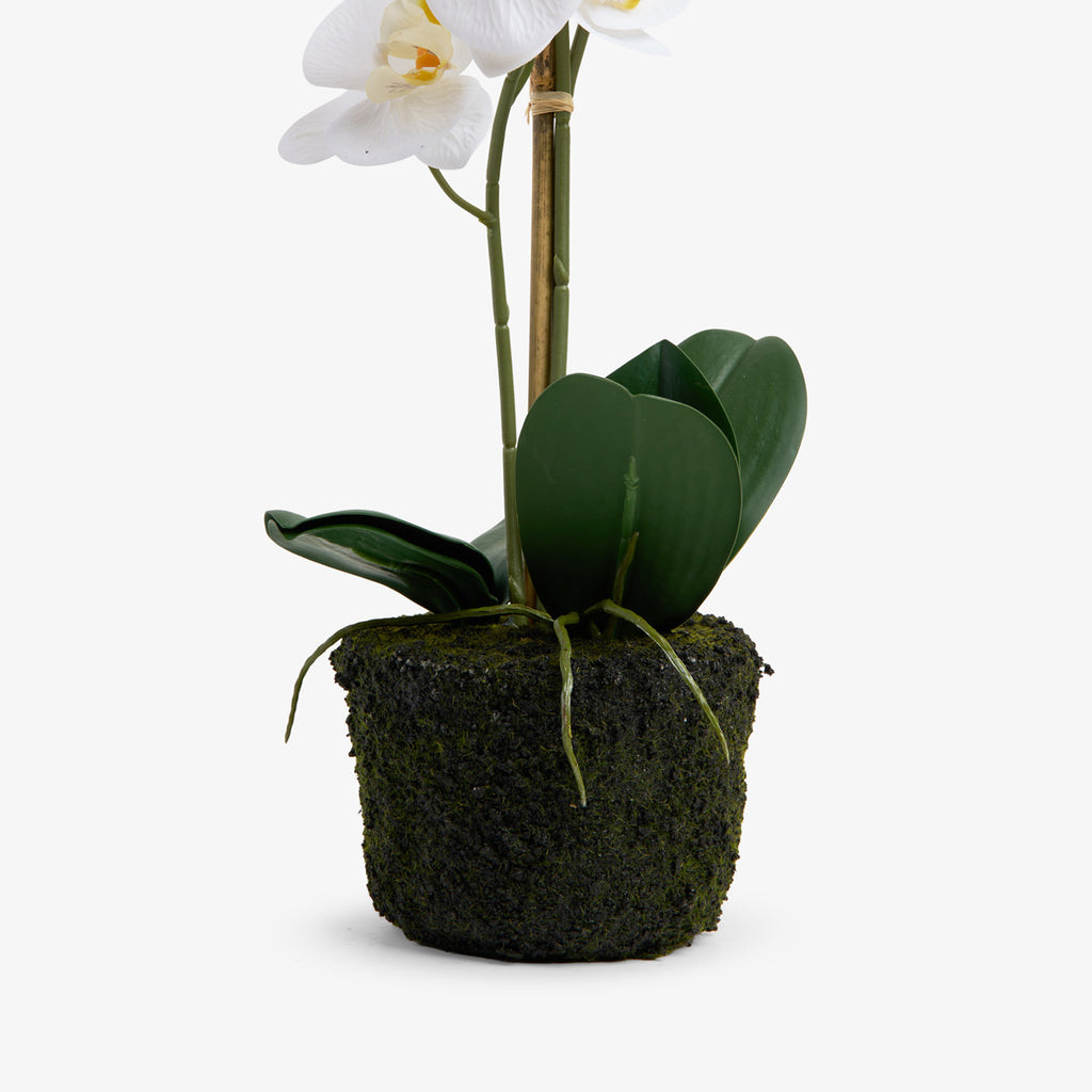 Artificial Orchid Three Spray 47cm Close Up of Base