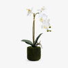 Artificial Orchid One Spray 46cm Front View