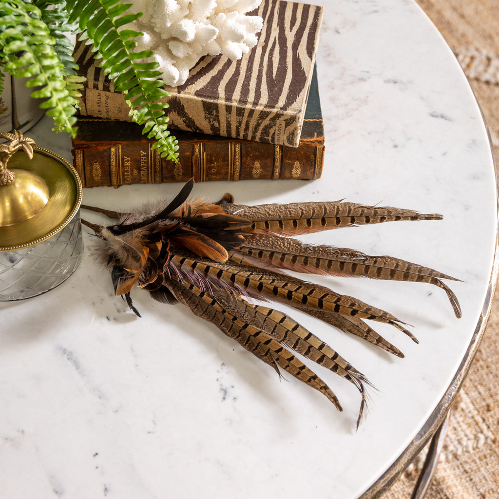 Pheasant Feather Pick 61cm Styled on Coffee Table