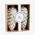 Pinecone Baubles Set Of 2 (Champagne Gold) Front View in Box