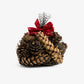 Pine Cones In A Bag (Natural) Front View