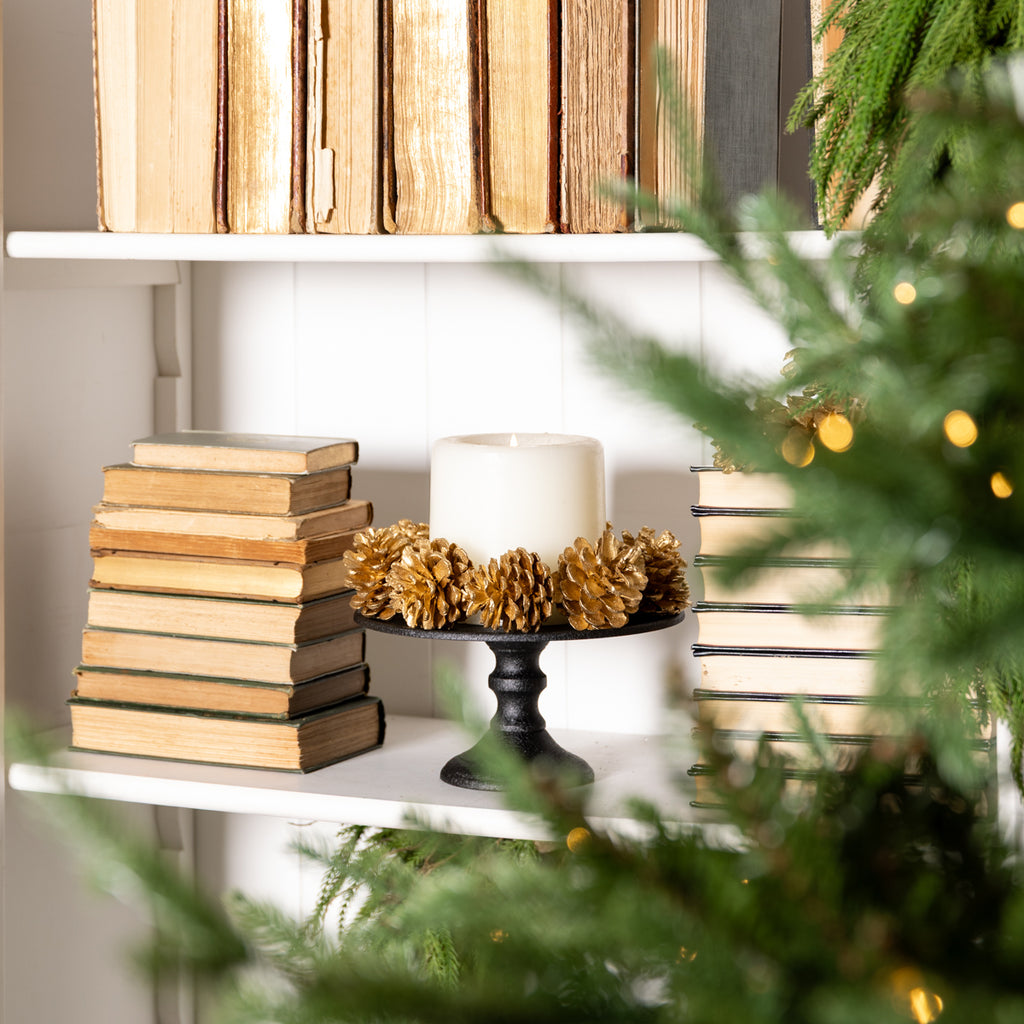 Pine Cones In Box Small (Gold) On bookcase with christmas tree in foreground