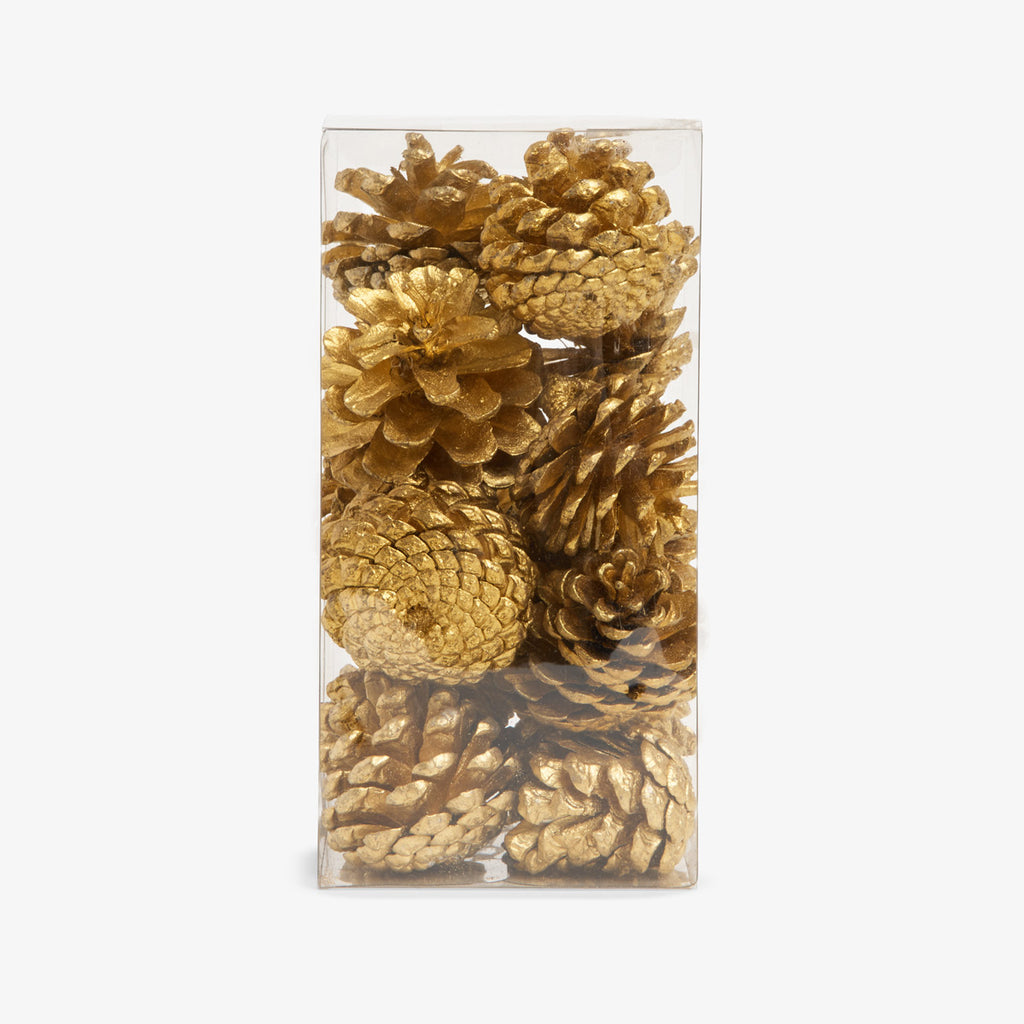 Pine Cones In Box Small (Gold) In box