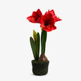 Artificial Amaryllis (Red) Front View