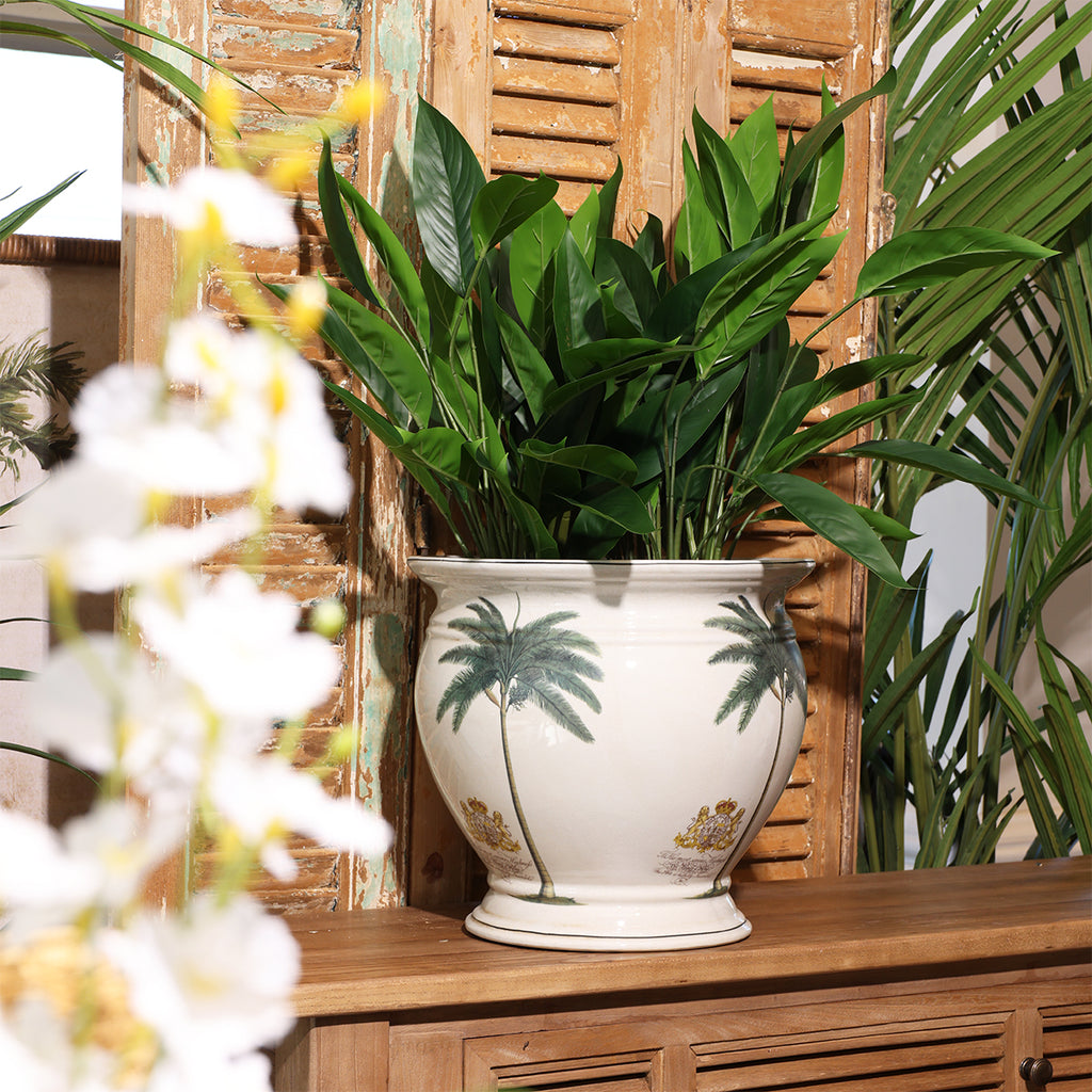 Royal Palm Planter Styled With Plants on Side Board