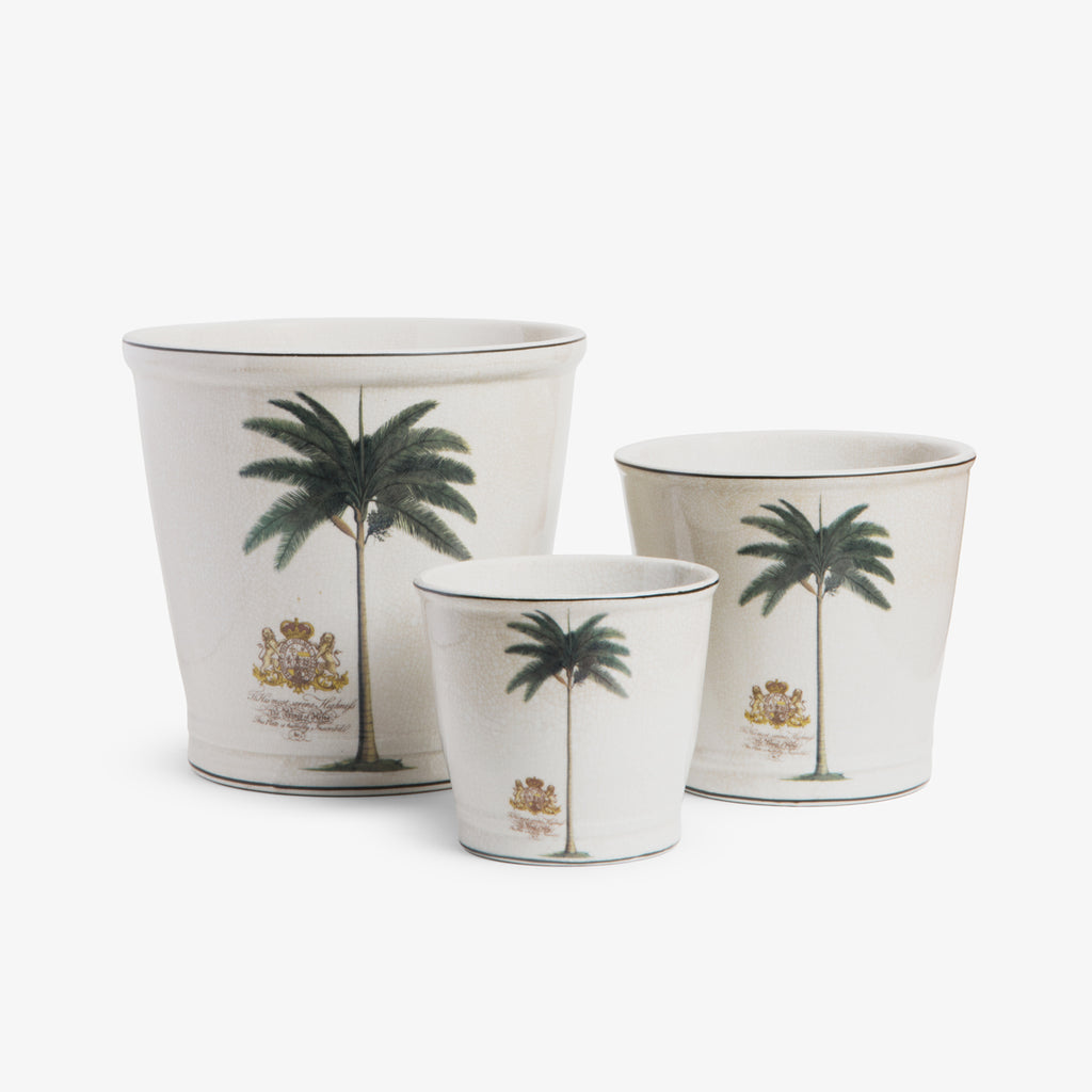 Royal Palm Planters Group Shot