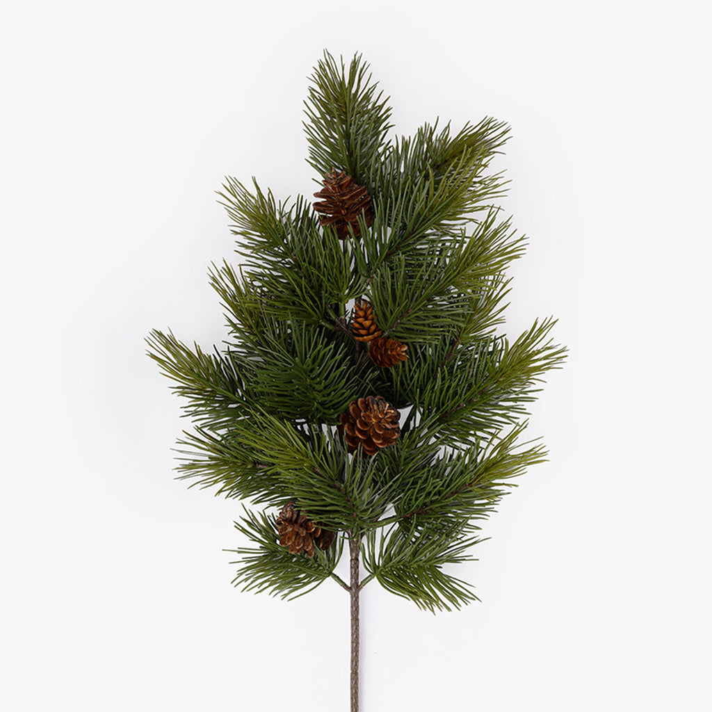 Scotch Pine Pick 62cm