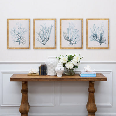 Seaweed Phyllophora Four Group Shot Styled Above Table