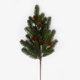 Slender Scotch Pine Pick 77cm