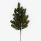 Slender Scotch Pine Pick 77cm