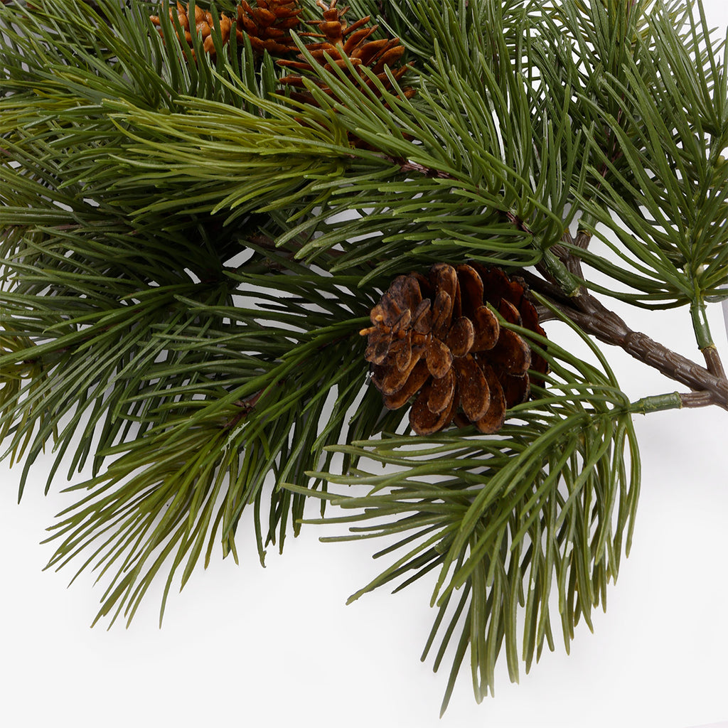 Slender Scotch Pine Pick 77cm Close Up